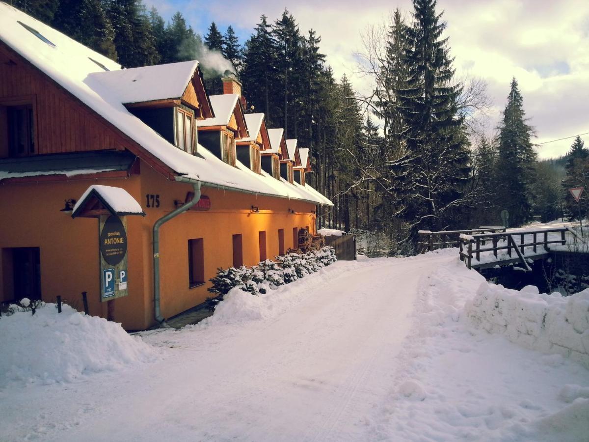 Hotel Penzion Antonie à Malá Morávka Extérieur photo